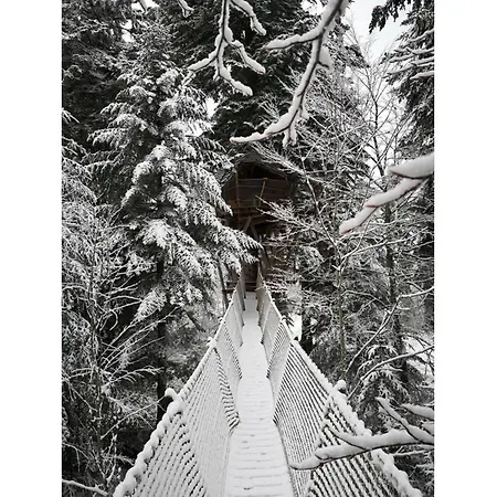 Des Volcans La Tour-dʼAuvergne