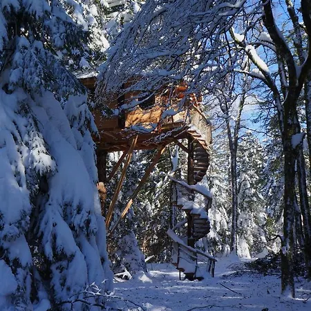 Des Volcans Chalet *