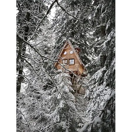 Des Volcans * La Tour-dʼAuvergne