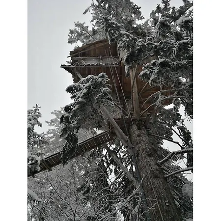 Chalet Des Volcans *