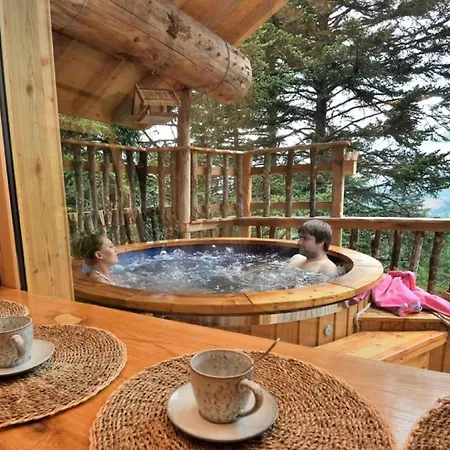 Des Volcans Chalet La Tour-dʼAuvergne
