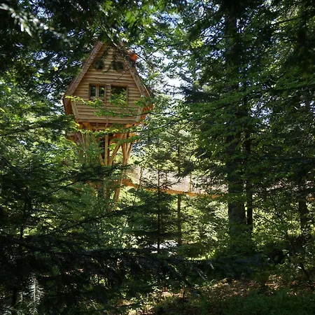 Des Volcans * La Tour-dʼAuvergne