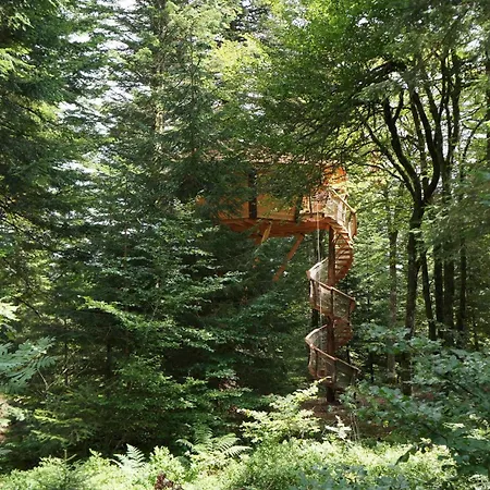 Des Volcans Chalet *