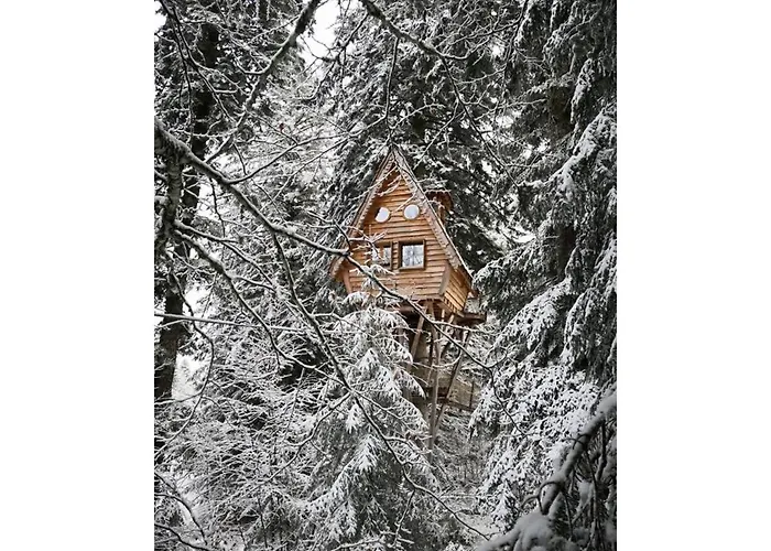Des Volcans * La Tour-dʼAuvergne