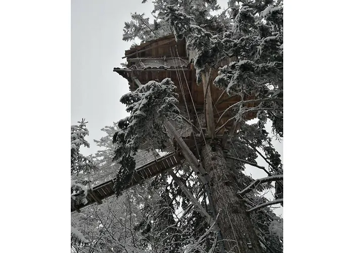 Dağ evi Des Volcans *