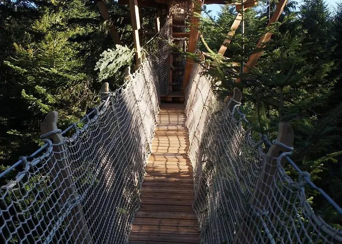 Des Volcans Ла-Тур-д'Овернь