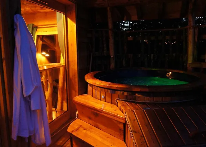 Des Volcans Dağ evi